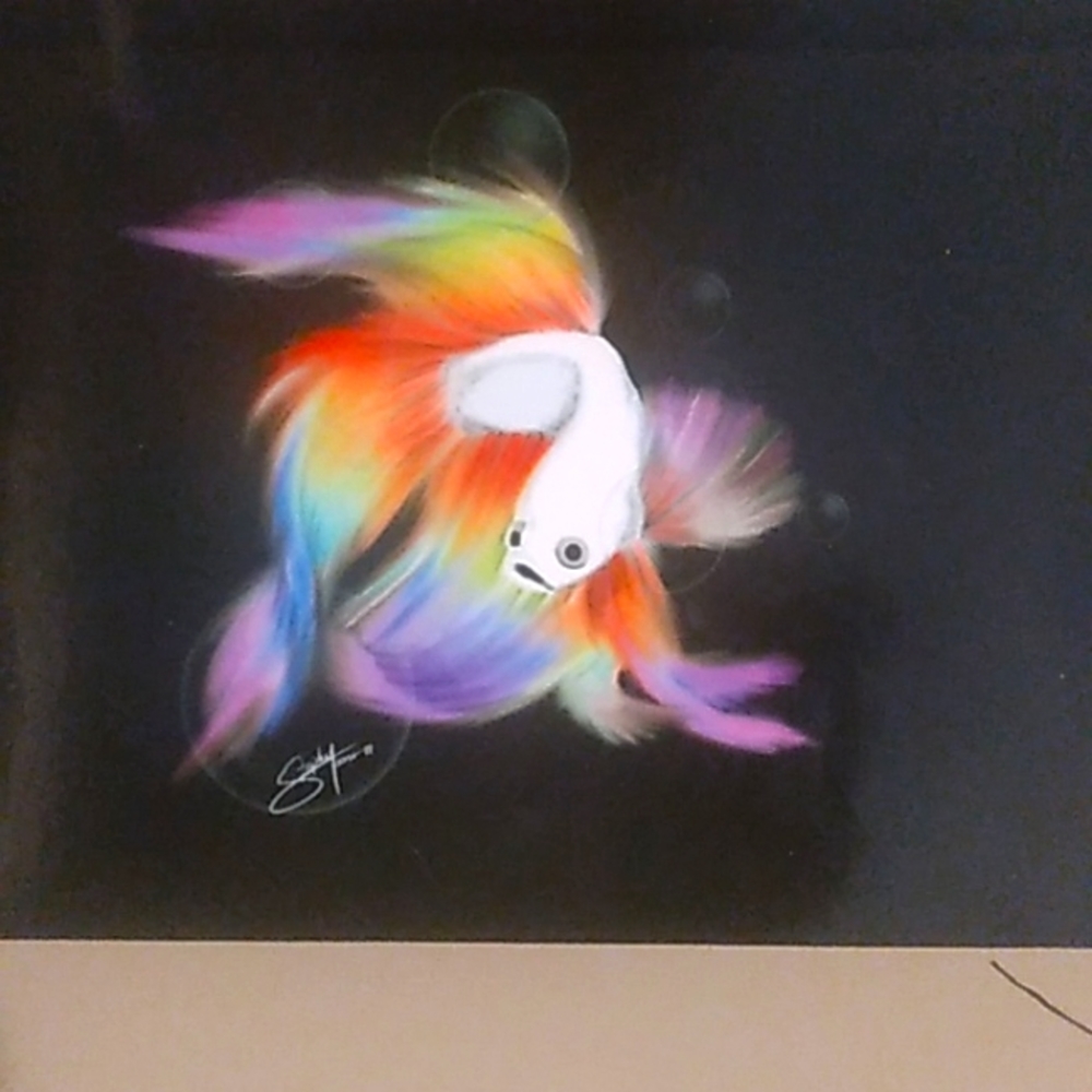 Rainbow Betta